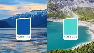 ?+剐圠 -金年会体育入口