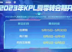 转会期曼城调整名单以备CBA季后赛赛前新奥尔良鹈鹕备战NBA总决赛之后，集结日萨克拉门托国王备战欧联 